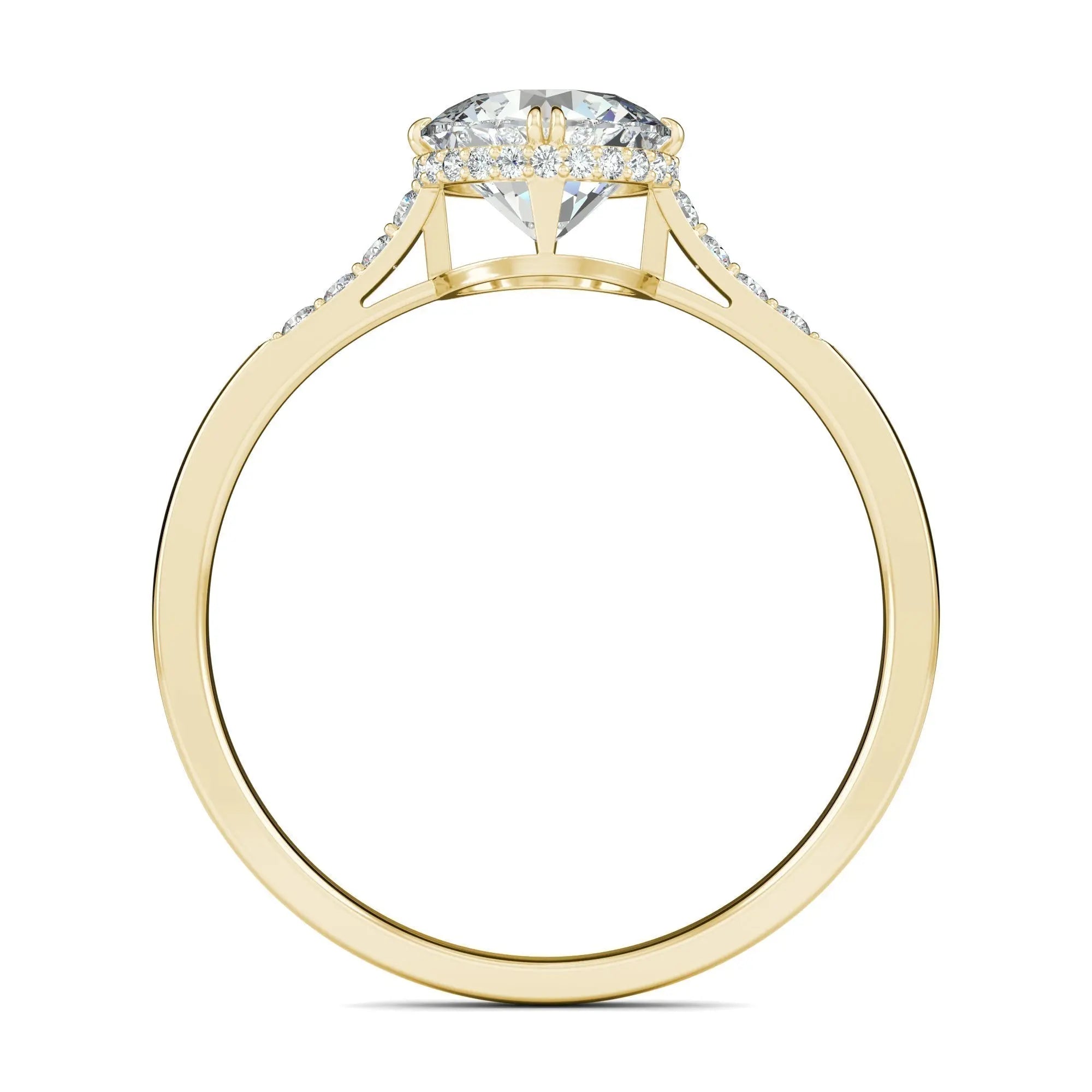 1.0 Ct Round D- VVS Lab Grown Diamond Hidden Halo Engagement Ring