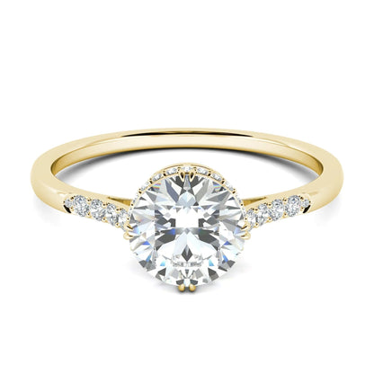 1.0 Ct Round D- VVS Lab Grown Diamond Hidden Halo Engagement Ring