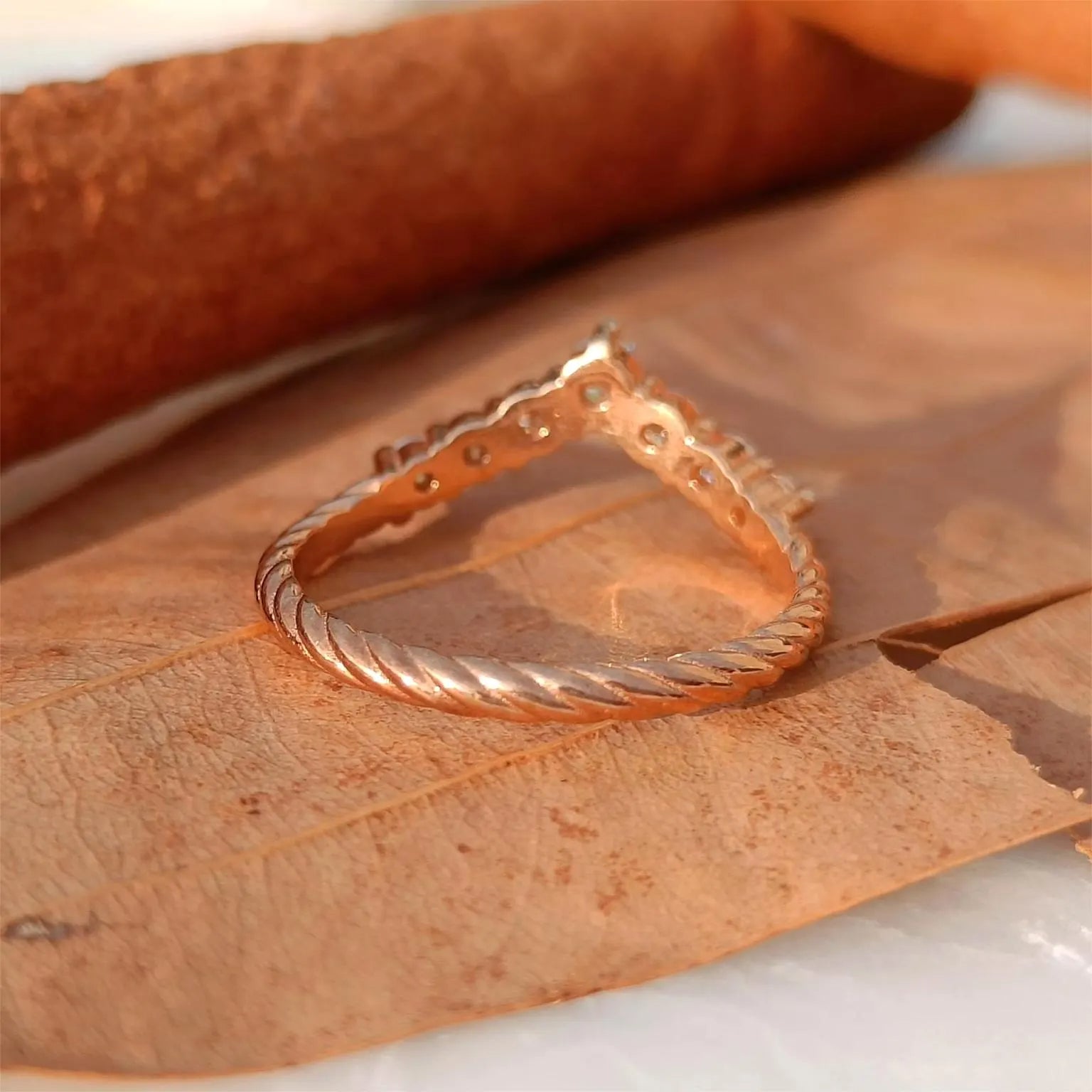 TJ-WD-R-005